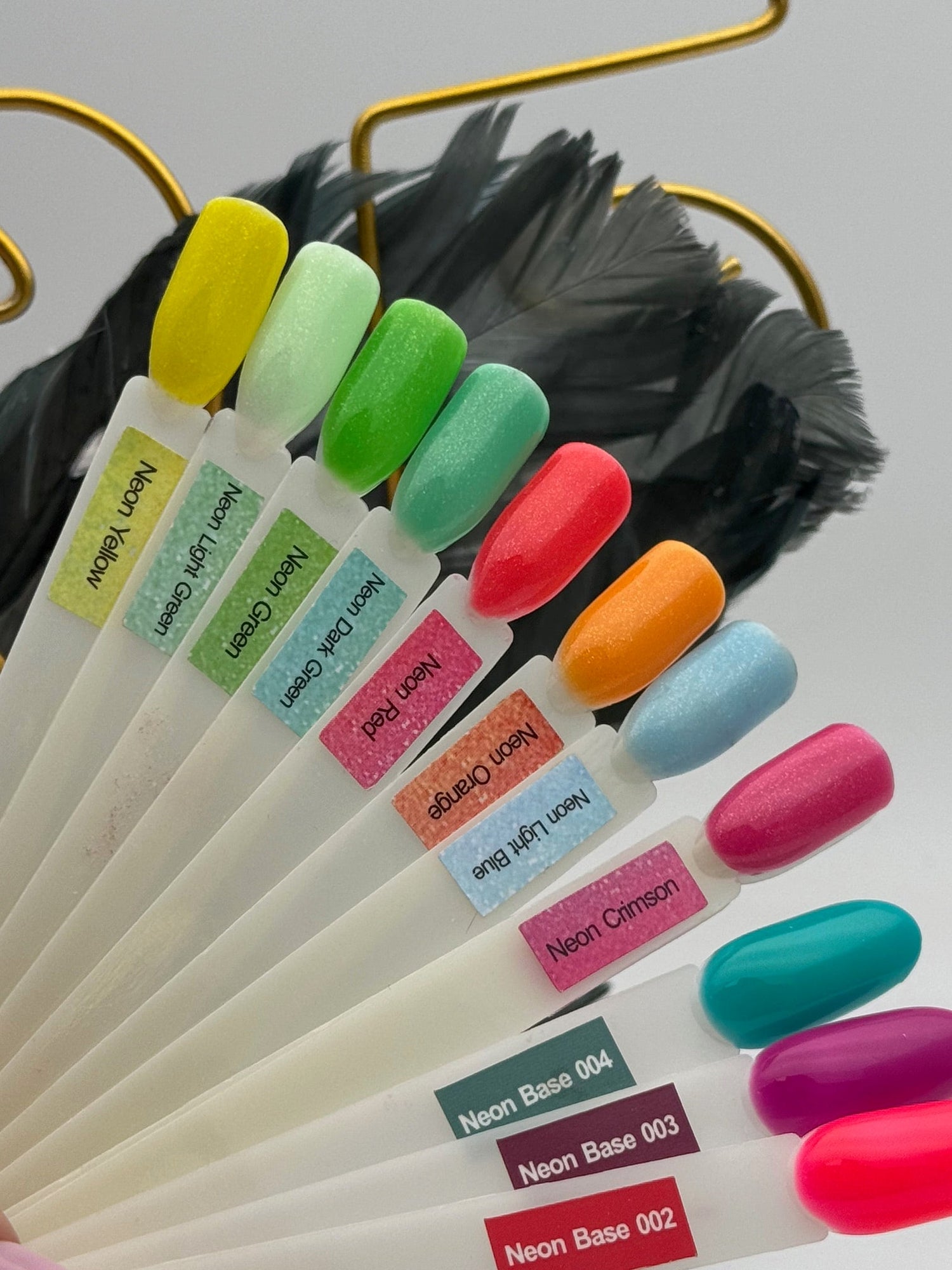 Neon Base Collection
