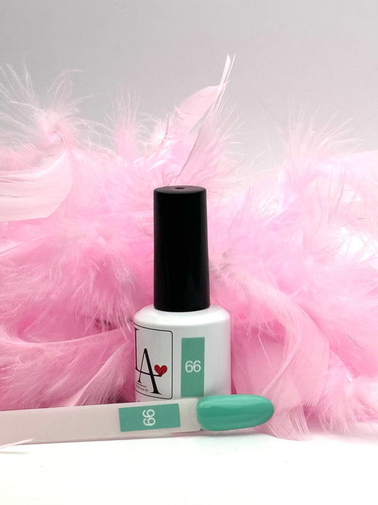 Gel polish 66